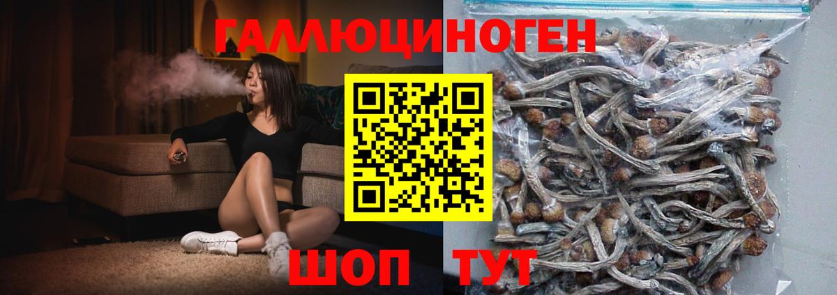 Псилоцибиновые грибы GOLDEN TEACHER Чехов